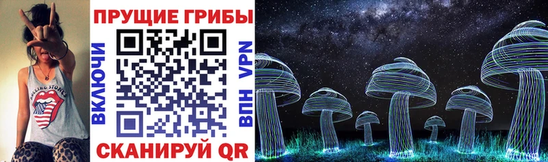 Псилоцибиновые грибы Magic Shrooms  хочу   Себеж 